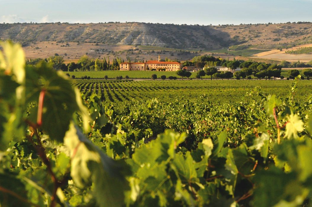 Bodegas de Abadía Retuerta