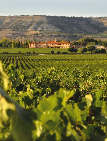 Bodegas de Abadía Retuerta