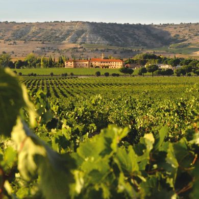 Bodegas de Abadía Retuerta