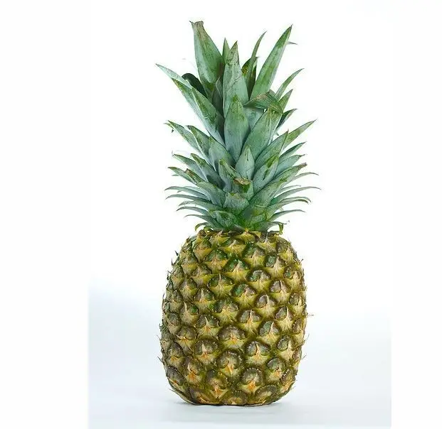 Piña para el bienestar y la salud La piña un estimulante del bienestar físico, y un aliado contra la frustración