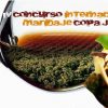 Concurso Internacional de Maridaje Copa Jerez