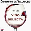 "Vinos Selecta" en el Museo del Vino Provincial de Valladolid