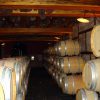 BODEGA STRATVS 10