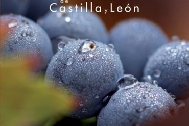 El libro Vinos de Castilla y León