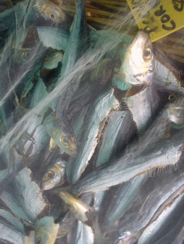 Pescado ahumado (1)