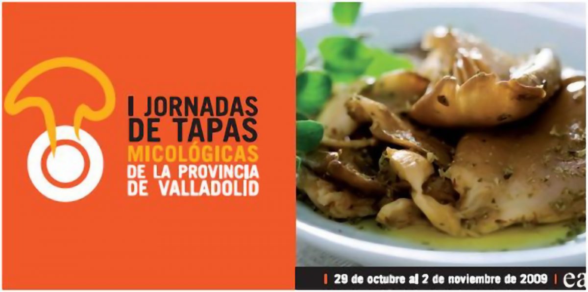 Tapas Micológicas de la Provincia de Valladolid