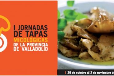 Tapas Micológicas de la Provincia de Valladolid