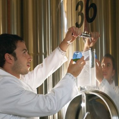 Escuela del Aceite 2.0