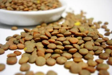 Lenteja pardina de Tierra de Campos, pequeña y de piel fina