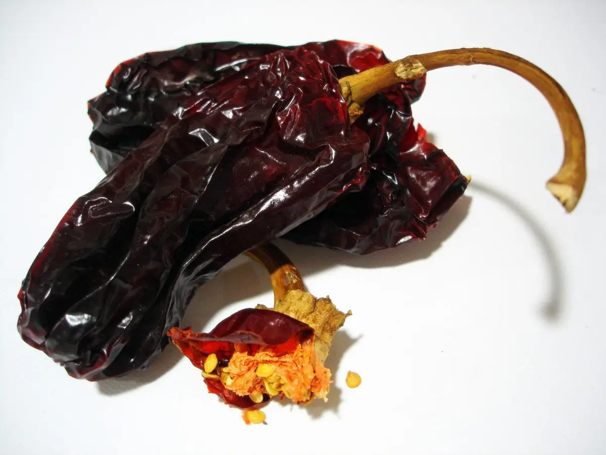 Pimiento Choricero