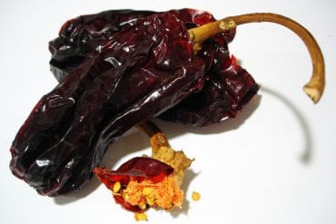 Pimiento Choricero