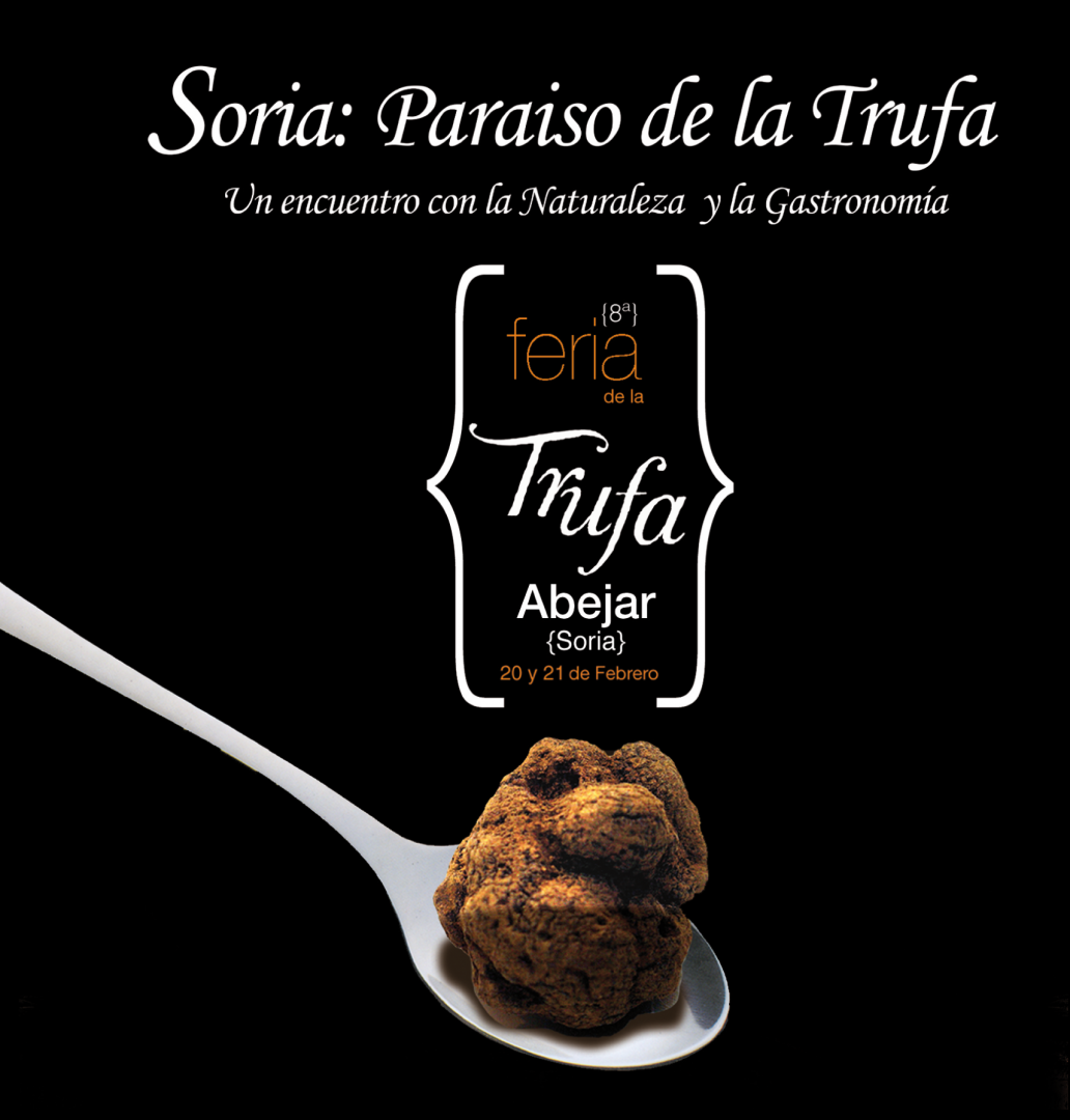 VIII Feria de la Trufa de Abejar