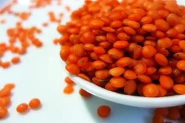 Lentejas rojas crudas en un cuenco blanco, con su color naranja intenso y algunos granos sueltos alrededor