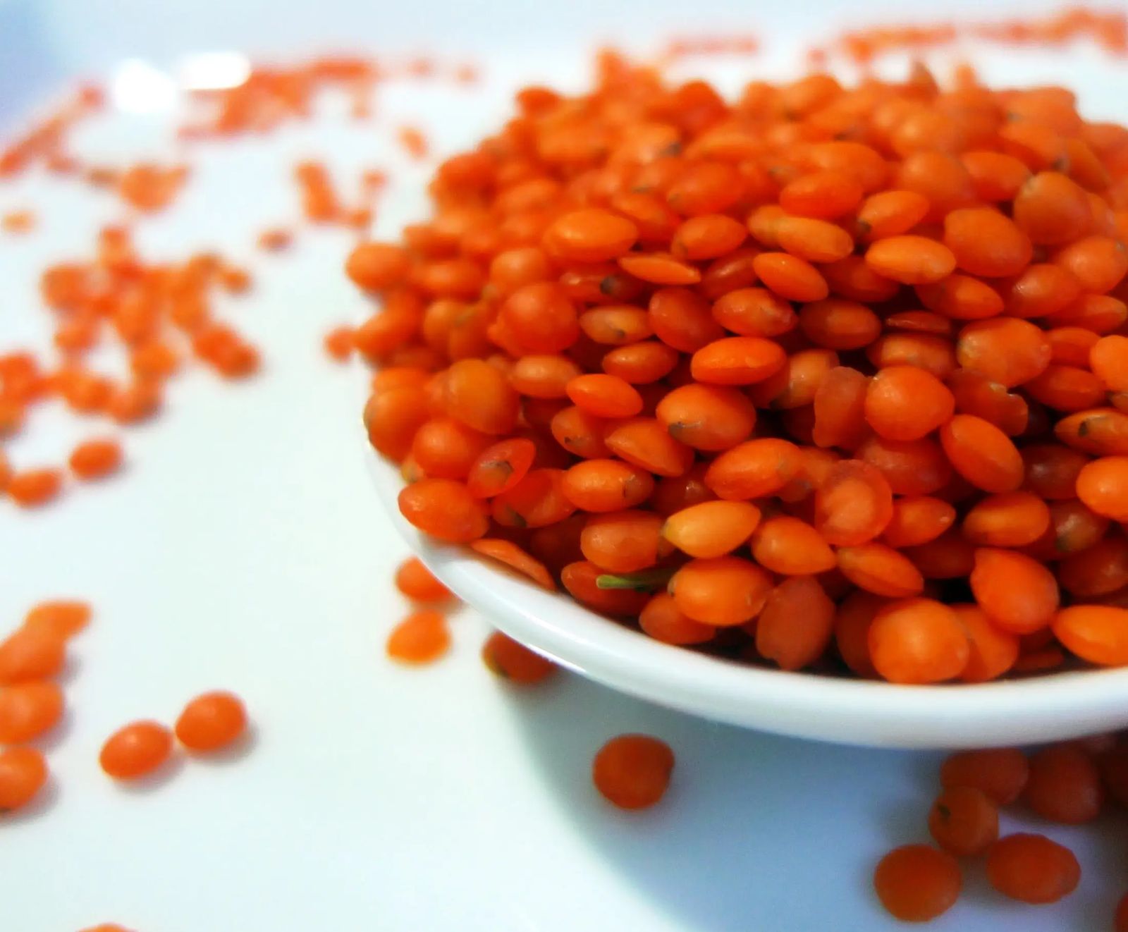Lentejas rojas crudas en un cuenco blanco, con su color naranja intenso y algunos granos sueltos alrededor
