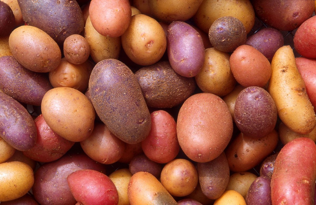 Patatas-variedades