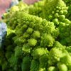 Una de las verduras más llamativas que podemos encontrar en el mercado es el Romanescu