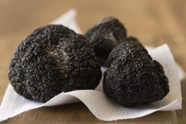 tuber melanosporum (Trufa negra)