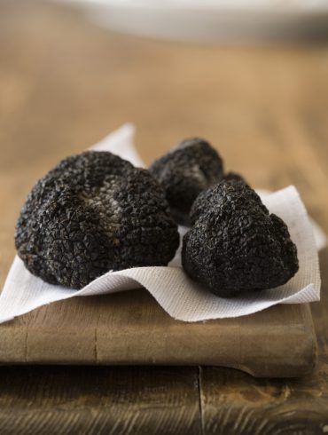tuber melanosporum (Trufa negra)