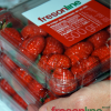 Fresonline, fresas