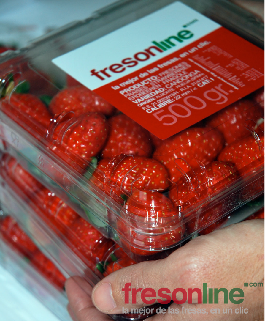 Fresonline, fresas