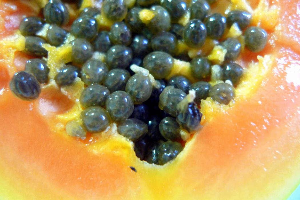 La papaia, un frutto sano e delizioso