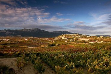 Las Catedrales del Vino