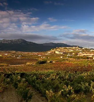 Las Catedrales del Vino