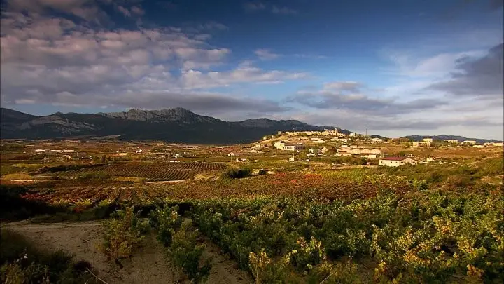 Las Catedrales del Vino2 Las Catedrales del Vino