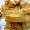 Physalis