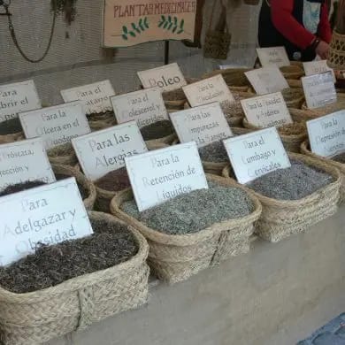 Plantas Medicinales mercado