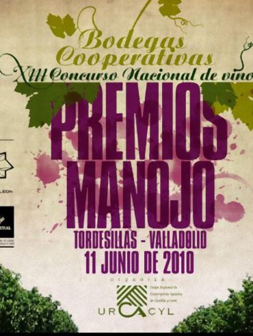 Premios Manojo 2010