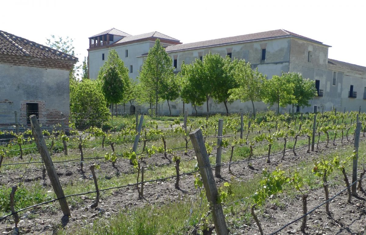 Bodegas y Viñedos La Mejorada