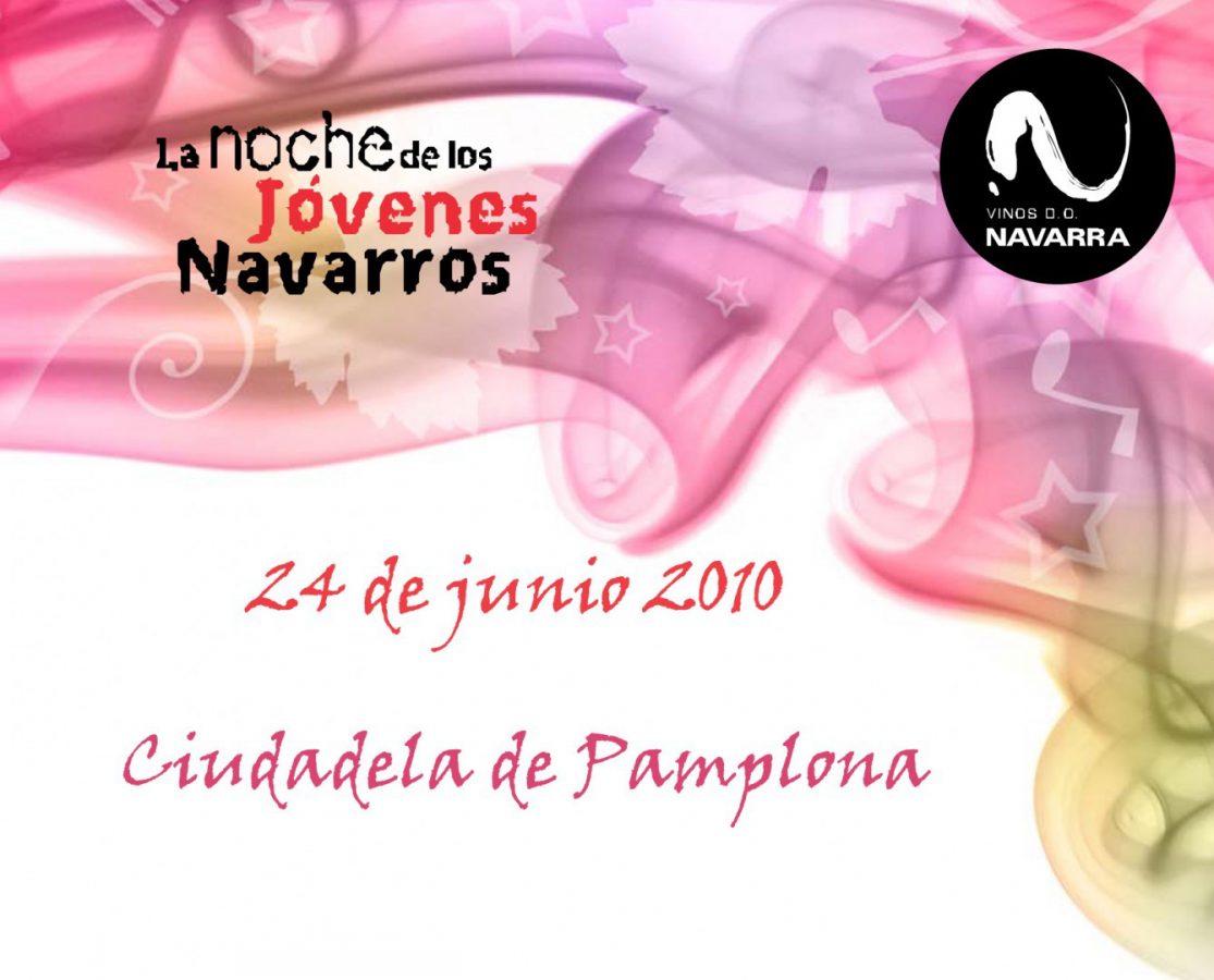 La Noche de los Jóvenes Navarros en Pamplona