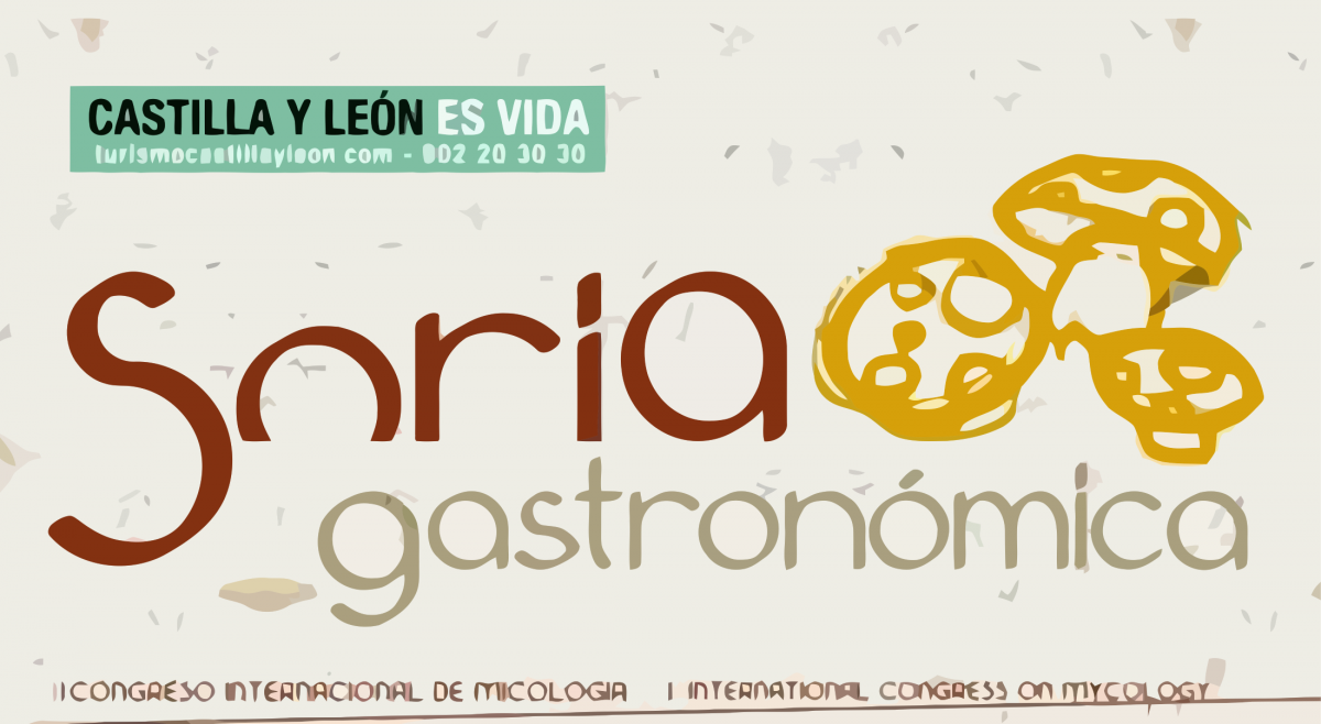 Soria Gastronómica 2010