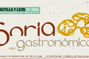 Soria Gastronómica 2010