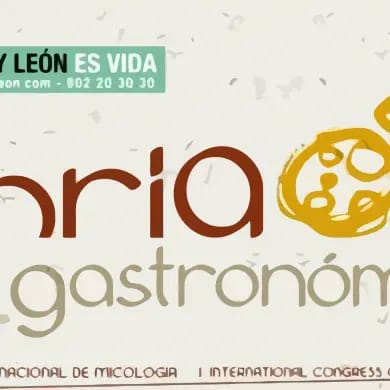 Soria Gastronómica 2010