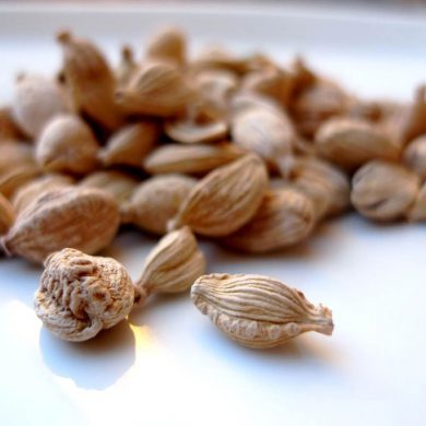 Cardamomo una de las tres especias más caras del mundo