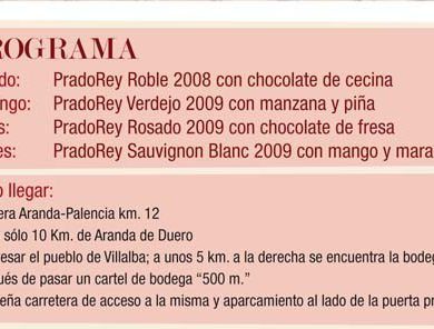 Programa de las III Jornadas de puertas abiertas de Bodegas PradoRey