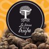 La Tierra de La Trufa