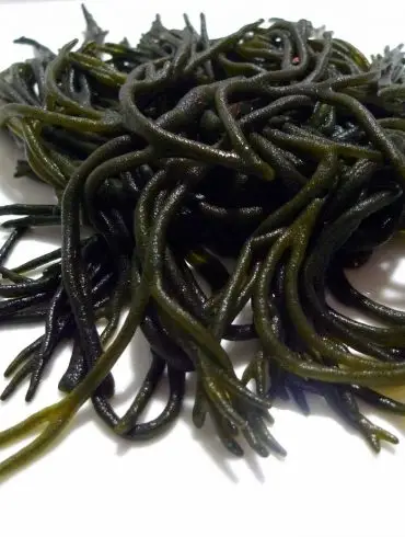 codium o ramall