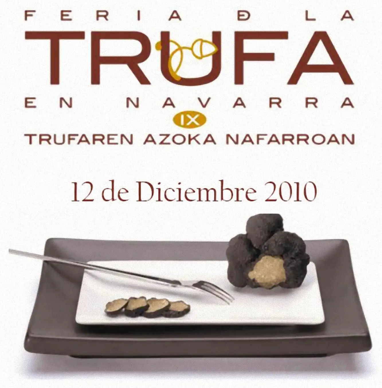 Feria de la trufa 2010 Feria de la trufa 2010 en Navarra
