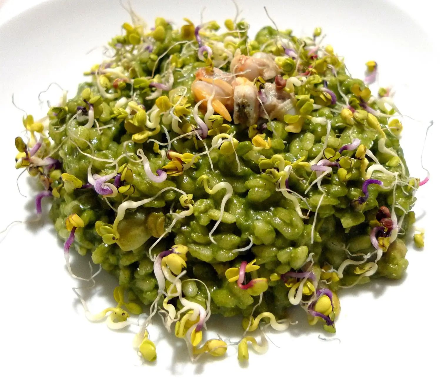 Risotto-de-Codium-y-berberechos-con-brotes-de-rábano-Daikon Risotto-de-Codium-y-berberechos-con-brotes-de-rábano-Daikon