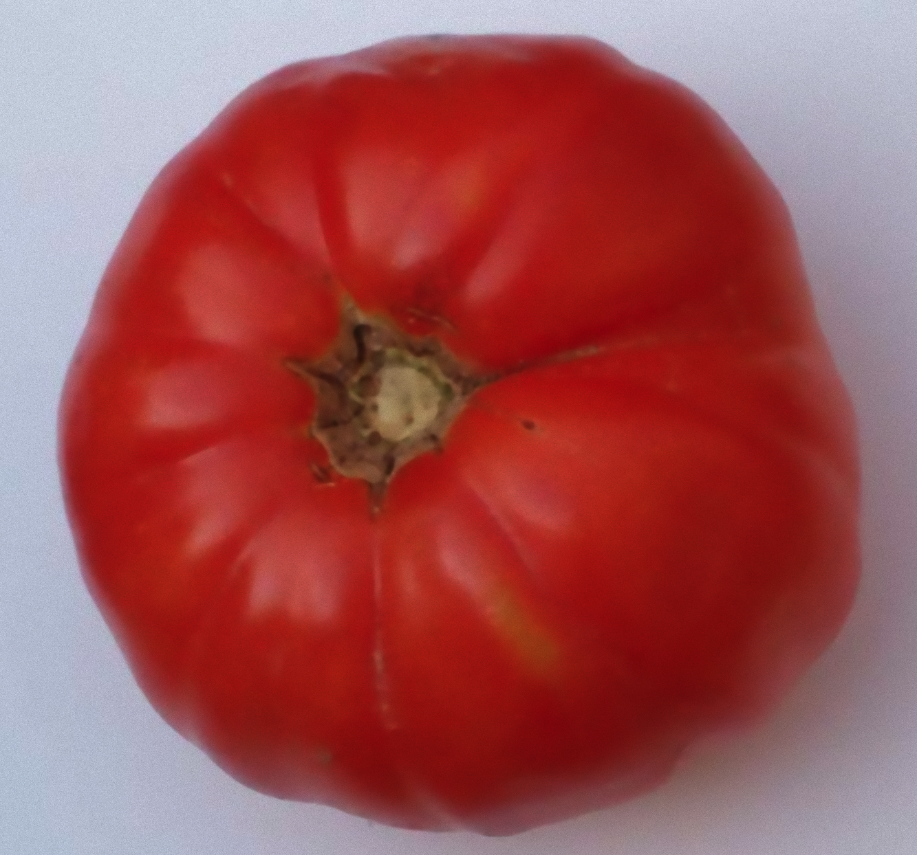 Tomate cuarentena