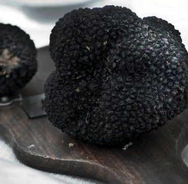 Trufa Negra