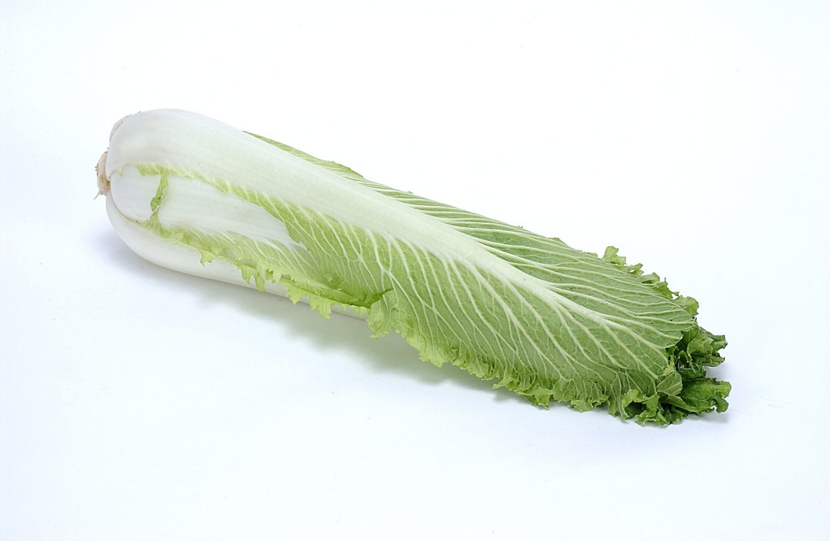 Pak Choi