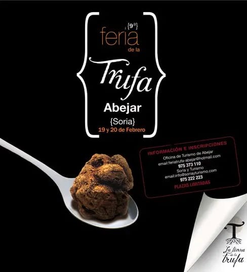 Feria de la trufa negra de Abejar
