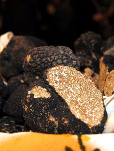 Trufa negra Soria