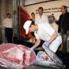 Foto-Povedano_DavidCorral-Ronqueo3