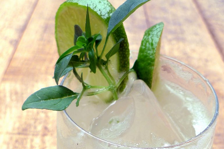 Coctel de Ginebra, zumo de lima y limón con hojas de albahaca 2
