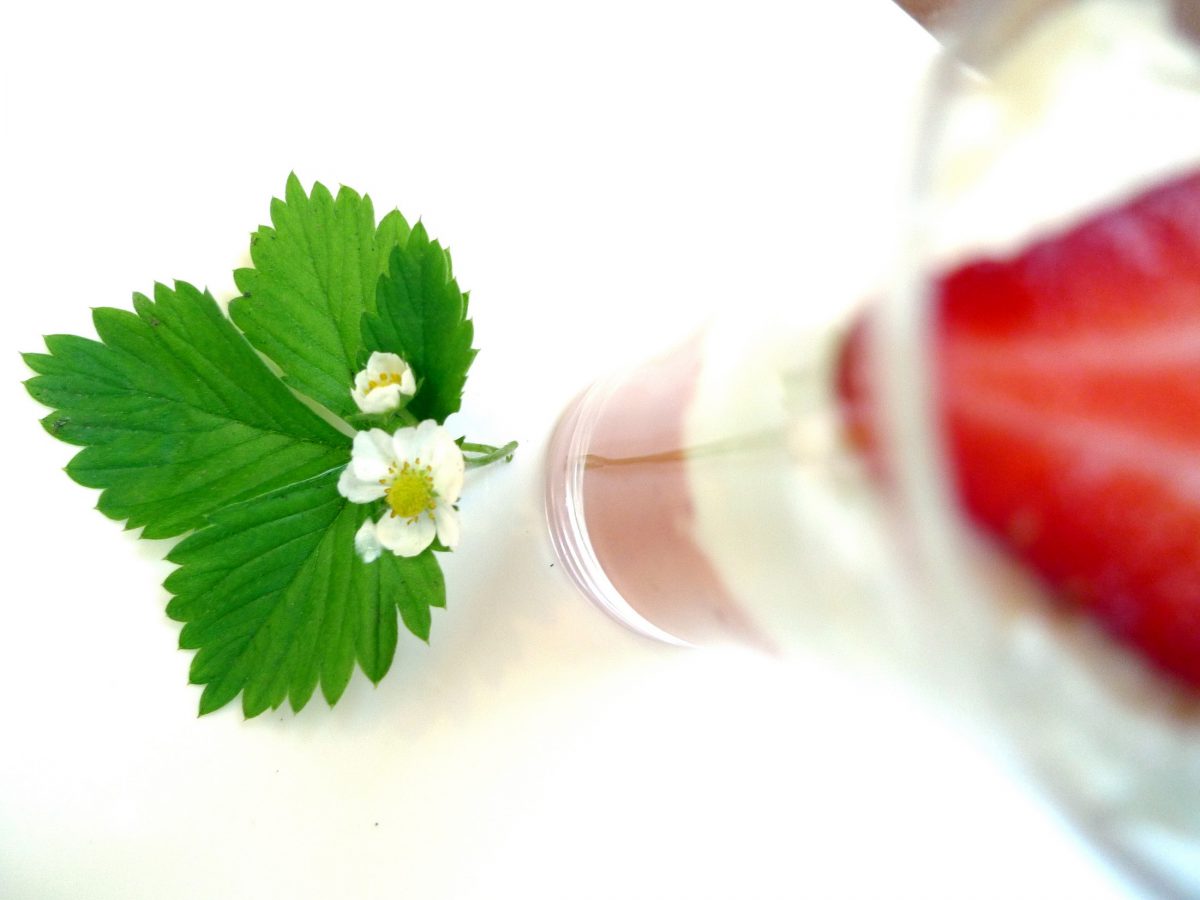 Gazpacho de Fresas con espuma de queso 3